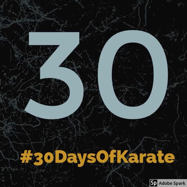It’s coming in September! Another round of #30daysofkarate  Who’s going to join me this time? Still #inspired by @ando_mierzwa @karateculture and now the #kata meister, @whistlekick (great interview on Sensei Ando’s podcast) #karate #kobudo #martialarts #meditation #training #innerpeace #innerstrength #journaling #awareness #blackbelt #dojo
