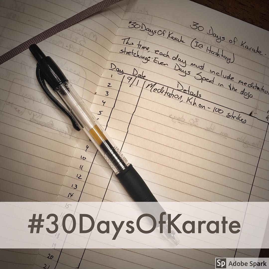 HERE WE GO! Day 1 of #30daysofkarate – a great start with #meditation #kihon #stretching and #preparation  I have some friends joined by me this time and I couldn’t be more excited! People who I #respect and who will keep me #motivated. @whistlekick @jay_the_sensational @jeremylesniak @karateculture @ando_mierzwa @mish.mash.do #karate #kobudo #training #budo #innerpeace #dojo #journal #thoughts.