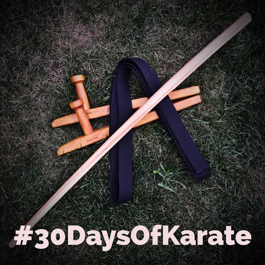 Another shot from Day 3 of the #30daysofkarate – i did something new for the first time- I wore my gi and #blackbelt  The belt’s purpose was to be a reminder to #focus and #practice at that level and not to take it easy. A white belt’s mind and a black belt’s #dedication. #karate #martialarts #kobudo #tonfa #bokken #kingfisherwoodworks #seishinkobudo