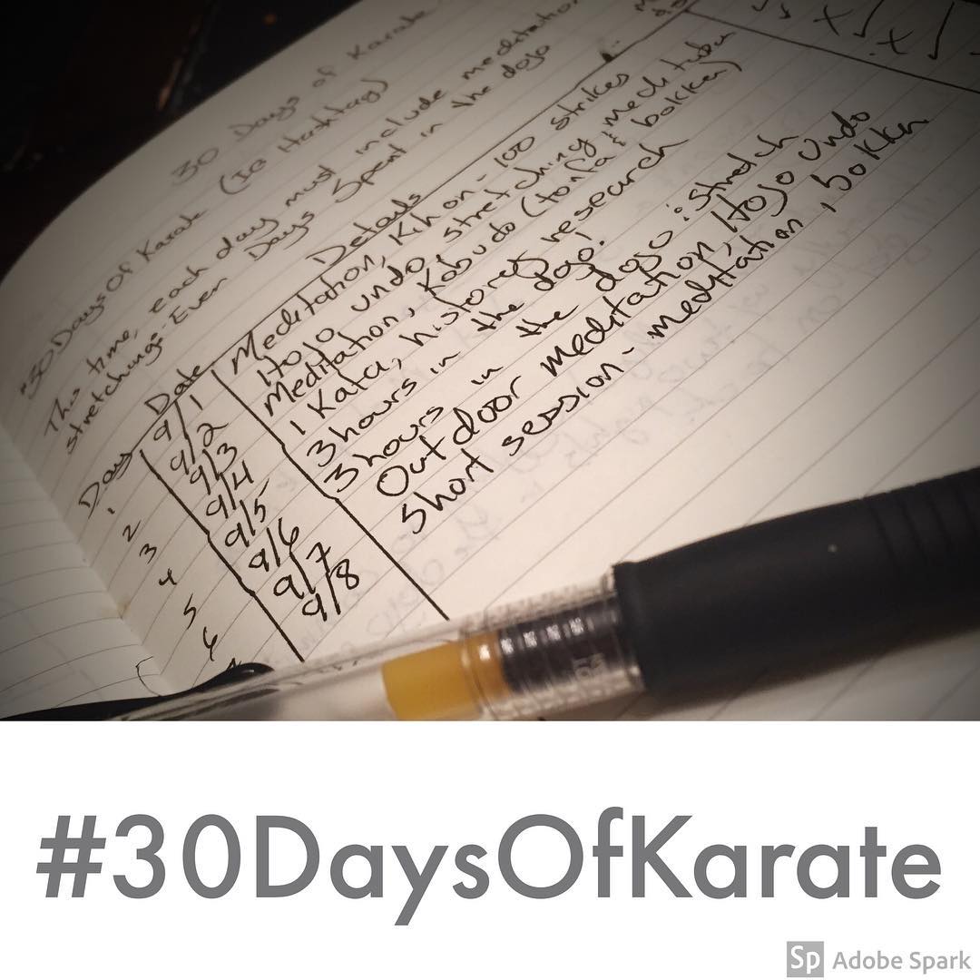 Day 8 of #30daysofkarate – not gonna lie, a long ass week and a night of insufficient sleep and I hit a wall tonight. Did 10 minutes of distracted #meditation and some #practice with the #bokken. Mentally I’m #exhausted tonight but satisfied that I was able to find enough #innerstrength to say I did *some* #karate  Not the #training I was hoping for. But, will forgive myself, go to bed, wake up ready to make up for today’s lackluster challenge day. Fall down 7 times and get up 8, right? #martialarts #strength #falldown #bushido #budo #determination @jay_the_sensational @mish.mash.do @erickastengren @karateculture @ando_mierzwa @jeremylesniak