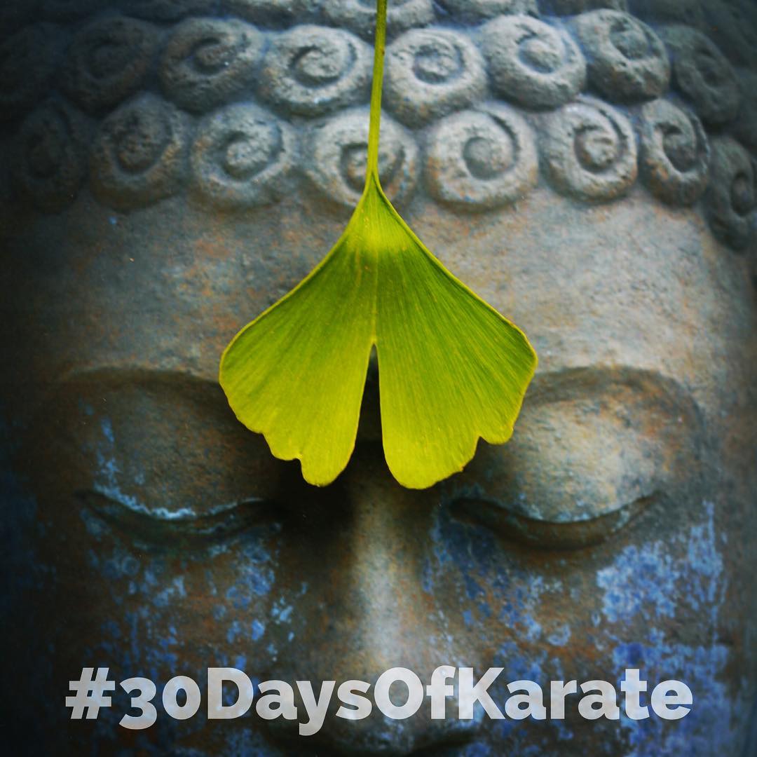 #30daysofkarate interesting night. Did some #yoga (which I haven’t done for a while) all my with some #guidedmeditation. I joined @grokkerinc a while ago and really like it but it has been a few weeks since last I used it. Then I moved into some #visualization #exercise which is an amazing way to practice #karate solo. No #training partner? Let your mind provide attackers. #meditation #bushido #budo #breathing #selfdefense #bunkai #kata #martialarts #dojo @ando_mierzwa @jay_the_sensational @mish.mash.do @erickastengren @karateculture