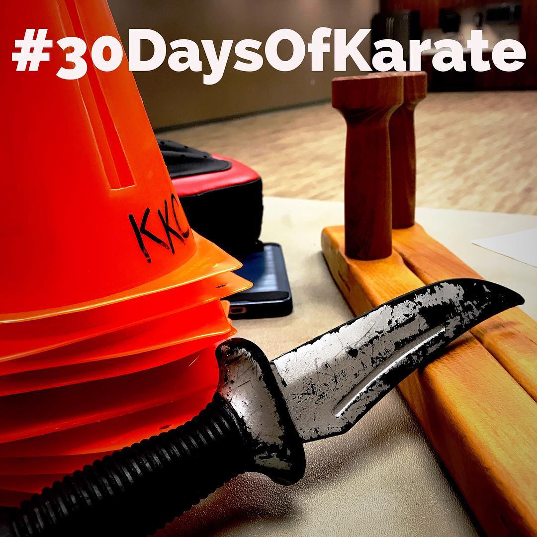 2.5 hours in the dojo tonight and that ends day 26 of #30daysofkarate Lots of fun and sweat. @erickastengren @mish.mash.do @ando_mierzwa @jay_the_sensational @karateculture #karate #kobudo #bushido #training #martialarts #workout #sweat #intense