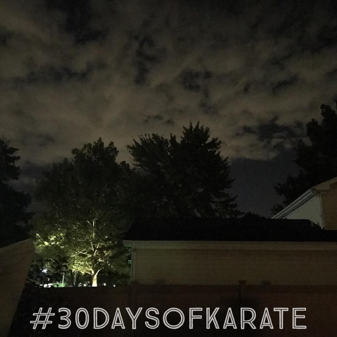 Well, it’s 12:30 AM and I’m just starting Day 28 of #30daysofkarate  Rather cool evening but the darkness and quiet solitude is perfect for #kata #underthestars  After my kids went to bed (late) I went online looking for a new bag for my gear since my backpack self-destructed last night. I guess that hour of online shopping doesn’t count for the challenge, does it? 😂 Anyway, kata time, then bedtime, then keep looking for the “perfect” gear bag for #karate. Any suggestions? (Below $70) @erickastengren @mish.mash.do @karateculture @jeremylesniak @jay_the_sensational @ando_mierzwa #martialarts #bushido #budo #nighttime #training #heian #pinan
