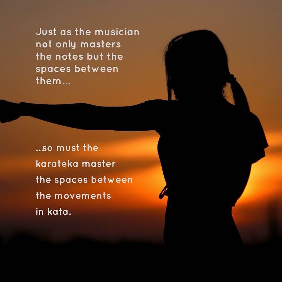 I made this meme after listening to episode 233 of @whistlekick #martialarts #radio, “Understanding the Space Between Movements in Forms” because the message struck a chord (see what I did there?). But I’ve been #struggling with what that actually means – what are the “spaces” in #kata? Then an answer started coming… maybe the blocks are the space! A block creates #time and #distance so why not view the block as the space we must master and, consequently, master the creation of time and space to set up our attack. Thoughts? #karate #martialarts #training #bushido #budo #alwayslearning